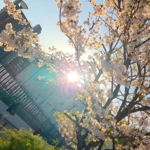 A Gentle Spring Awakening