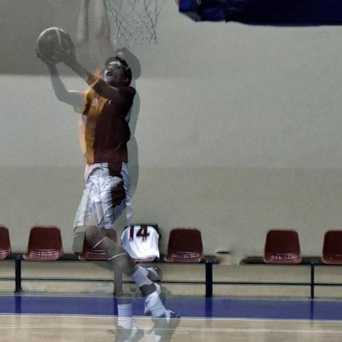 Photo #13498293