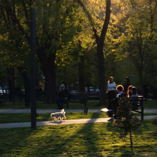 Photo #13498297