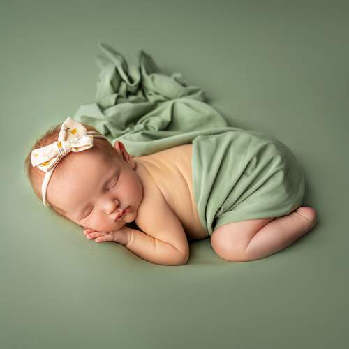 Photo #13498444