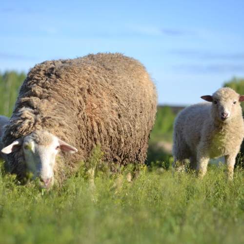 Photo #13498570