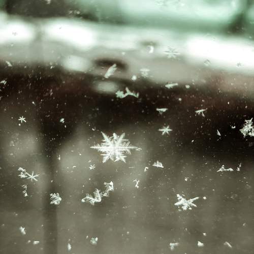 Photo #13498821