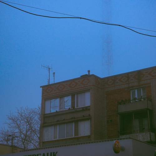 Photo #13498881