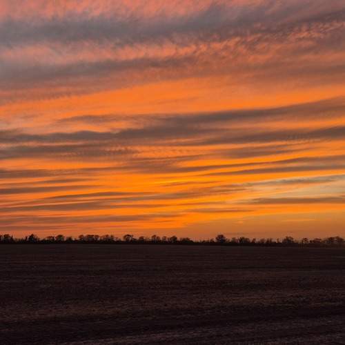 Photo #13499088