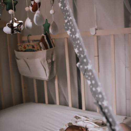 Photo #13499182