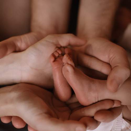 Photo #13499184
