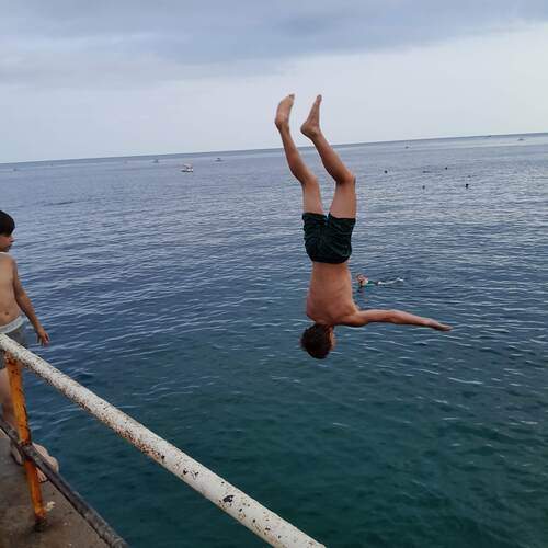 Photo #13499351