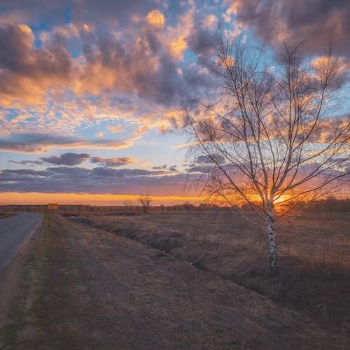 Photo #13499388