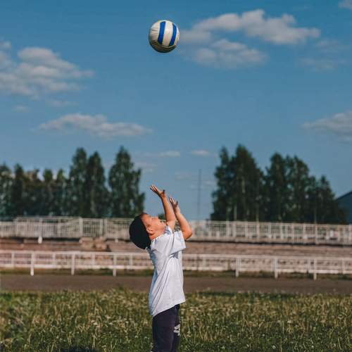 Photo #13499395
