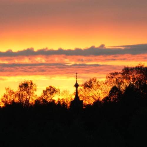 Photo #13499641