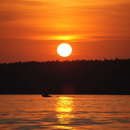 Photo #13499643