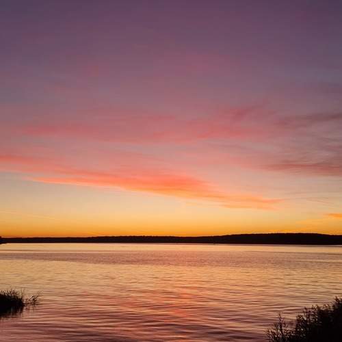 Photo #13499649