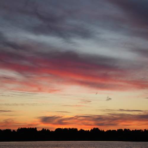 Photo #13499653