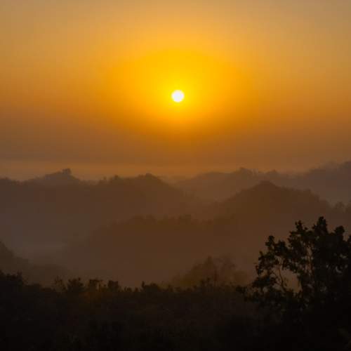 Golden Silence