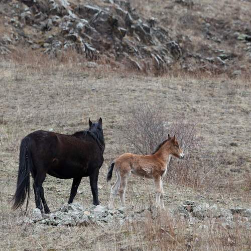 Фотография #13499792