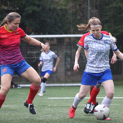 Photo #13499796