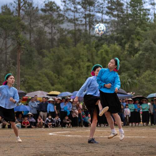 Photo #13499893