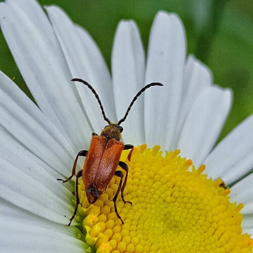 Photo #1350007