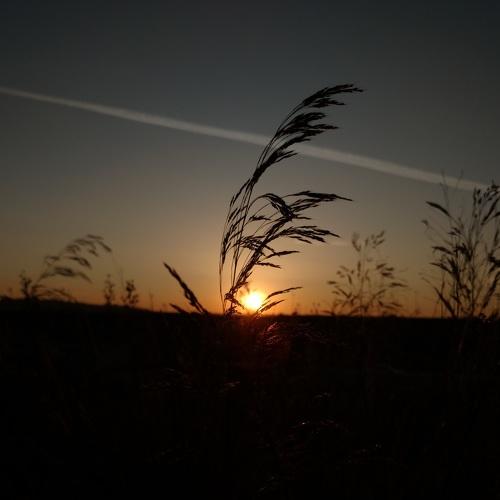 Puesta del sol