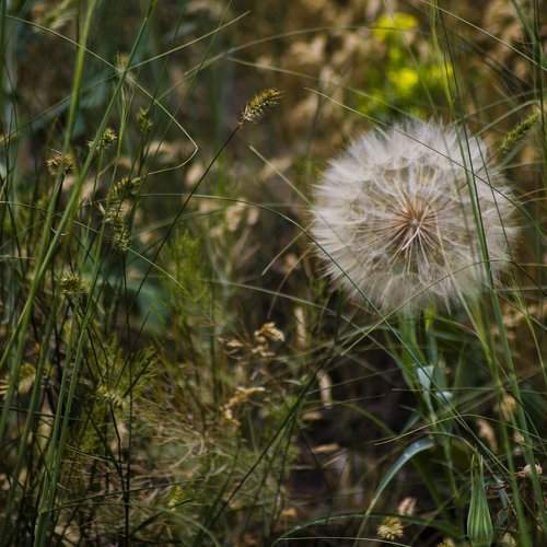Photo #1351265
