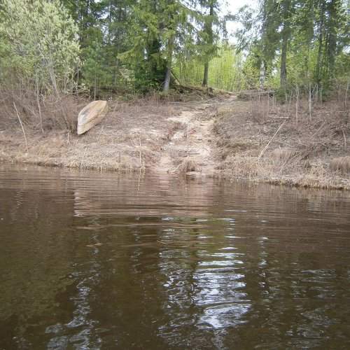 Photo #1351299