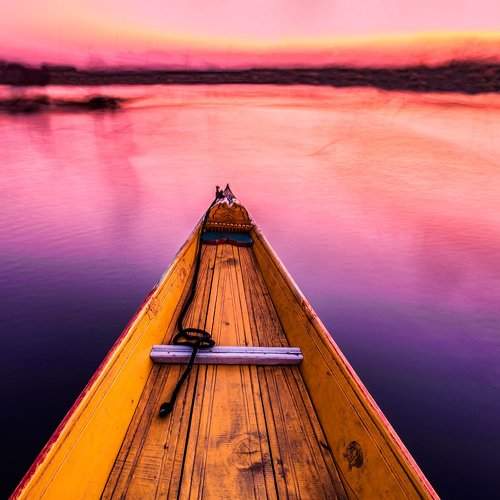 Glide through Dal lake serenity