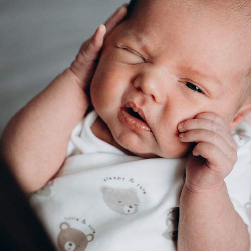 Photo #13500158