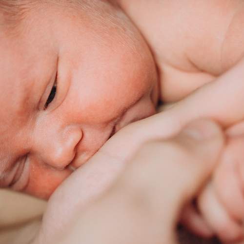 Photo #13500165