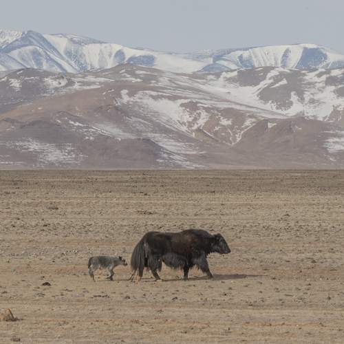 Фотография #13500265