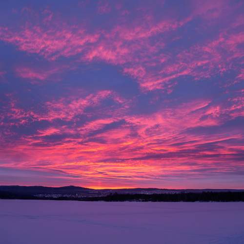 Photo #13500310