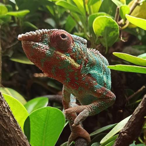 Photo #13500348