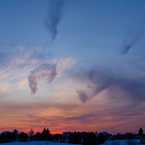 Photo #13500384