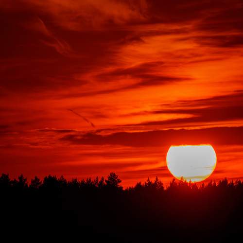 Photo #13500405