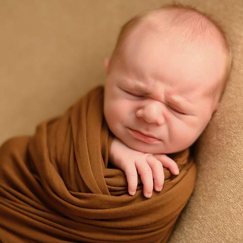 Photo #13500408