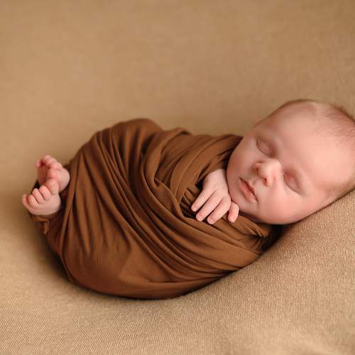 Photo #13500411