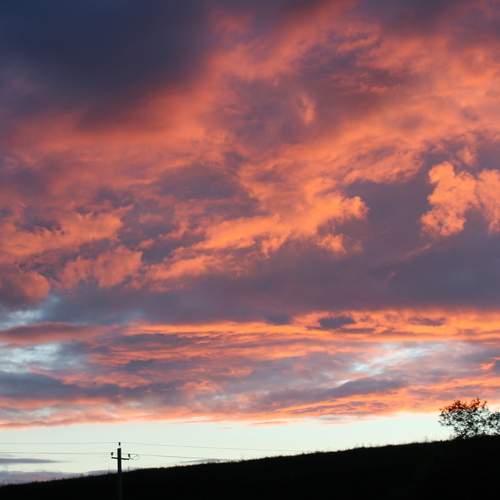 Photo #13500426