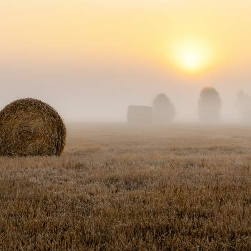 Photo #13500444