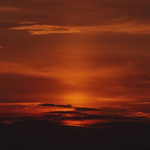 Photo #13500482