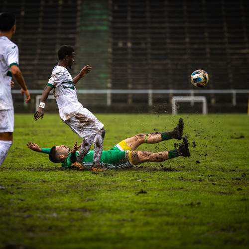 Pedro Tavares