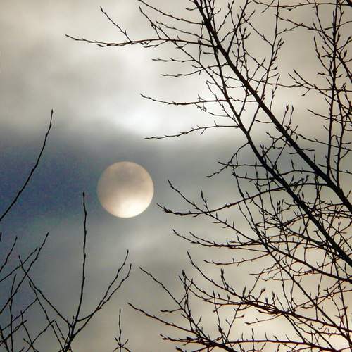 Photo #13500577