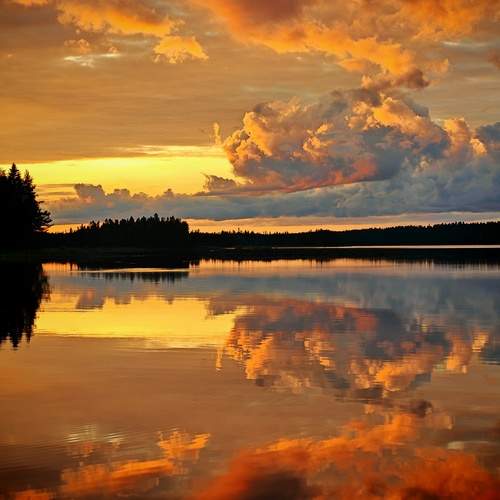 Photo #13500582