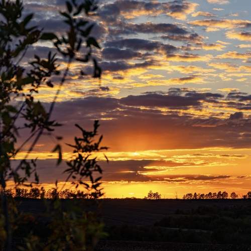 Photo #13500603