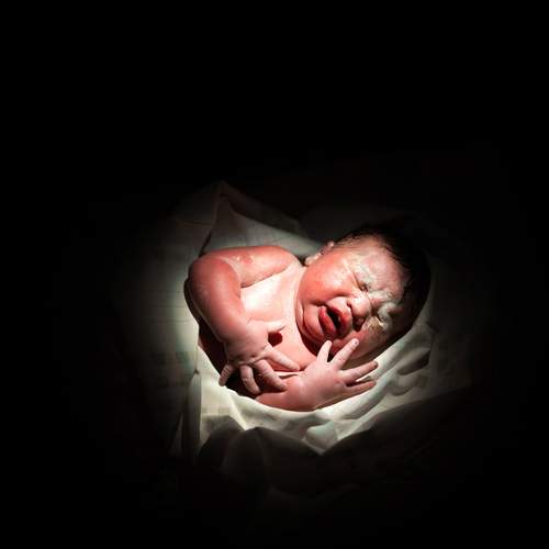 Photo #13500663