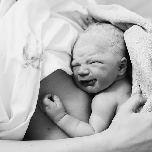 Photo #13500672