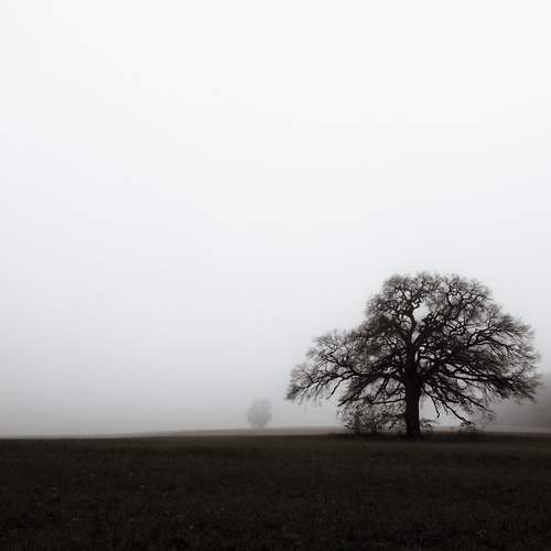 Presence
