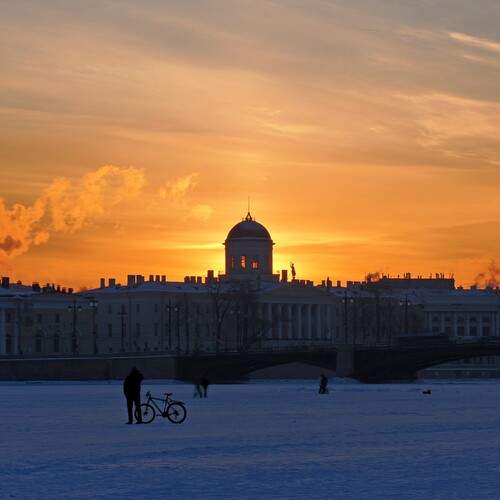 Photo #13500851