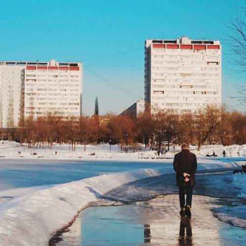 Photo #13501003