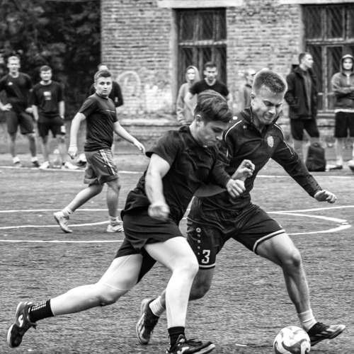 Фотография #13501103