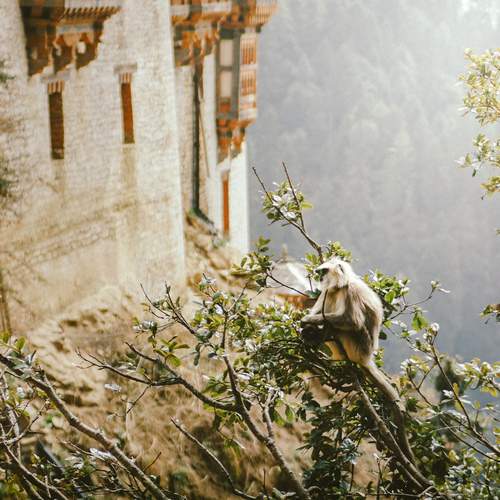 Photo #13501230