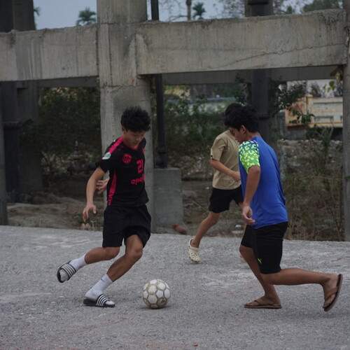 Photo #13501237